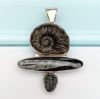Picture of Charles Albert Sterling Silver & Triple Fossil Pendant (Ammonite, Orthoceras, & Trilobite)