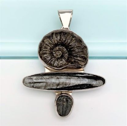 Picture of Charles Albert Sterling Silver & Triple Fossil Pendant (Ammonite, Orthoceras, & Trilobite)