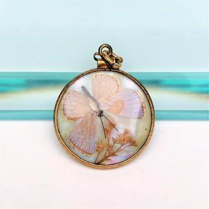 Picture of Victorian Era Gold Filled Double Sided Locket With Preserved Butterflies On Mother Of Pearl Doublet