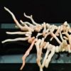 Picture of Vintage Natural Southwestern Angel Skin Coral Branch Necklace