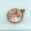 Picture of Victorian Era Gold Filled Double Sided Locket With Preserved Butterflies On Mother Of Pearl Doublet