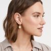 Picture of Julie Vos Fleur De Lis - Hoop & Charm Earrings In Iridescent Clear Crystal