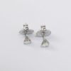 Picture of Platinum Diamond Solitaire Stud Earrings