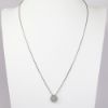 Picture of 14K White Gold Double Halo Diamond Pendant Necklace