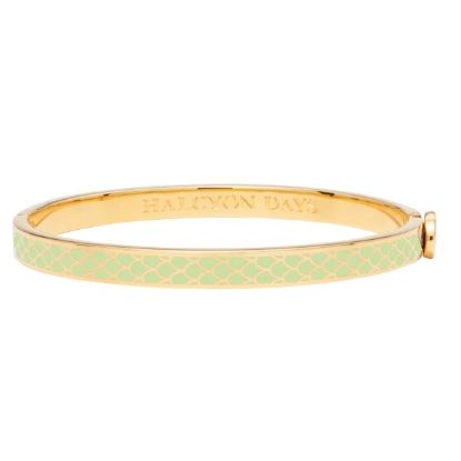 Picture of Halcyon Days Skinny Salamander Meadow Green & Gold Hinged Bangle.