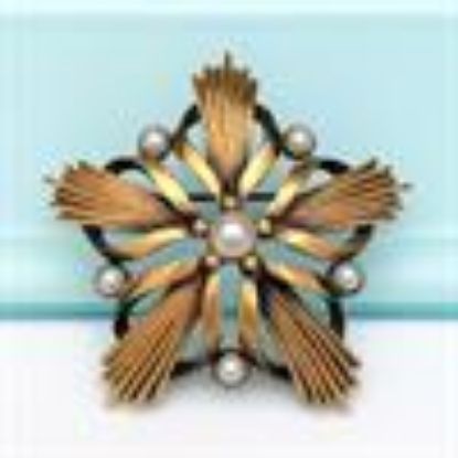 Picture of 1950'S Tortolani Modernist Star Brooch