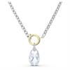 Picture of Swarovski - The Elements Necklace