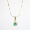 Picture of 14k Yellow Gold Necklace with Emerald and Diamond Pendant