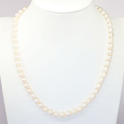 Picture of Cultured Pearl Necklace with 14k Yellow Gold Clasp