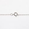 Picture of Diamond North Star Pendant Necklace in 14k White Gold