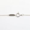 Picture of Tiffany & Co. Delicate Sterling Silver Horseshoe Pendant Necklace