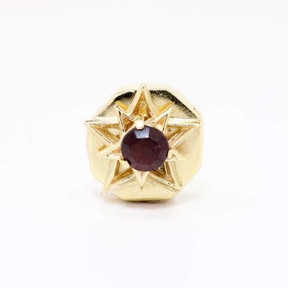 Picture of 14k Yellow Gold & Garnet Slide Charm with Star Motif