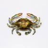 Picture of 14k Yellow Gold & Enamel Blue Crab Brooch/Pendant with Diamond Eyes