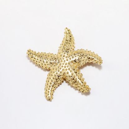 Picture of 14k Yellow Gold Starfish Brooch