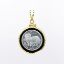 Picture of Isle of Man 1/10 oz. Platinum Cat Coin Pendant in 14k Yellow Gold Bezel 