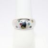 Picture of 14k White Gold & Multi Gemstone Ring