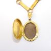 Picture of Antique Victorian Era Gold Filled Memento Mori Locket Necklace with Woven Hair