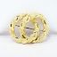 Picture of 18k Yellow Gold Textured Interlocking Circles Brooch