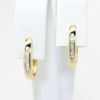 Picture of Delicate 14k Yellow Gold & Diamond Hoop Earrings