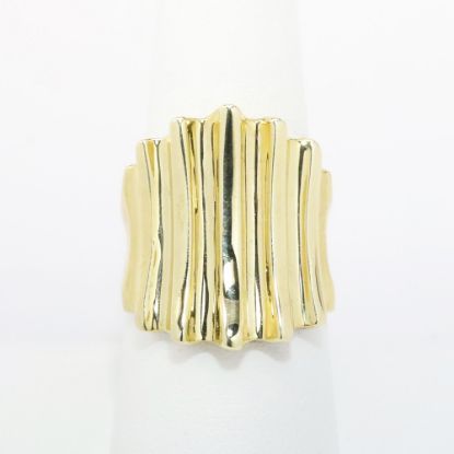 Picture of 14k Yellow Gold Vertical Statement Ring