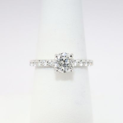 Picture of 14k White Gold & Round Brilliant Cut Diamond Ring with Diamond Accented Band