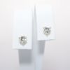 Picture of 14k Yellow Gold & Round Brilliant Cut Diamond Solitaire Stud Earrings