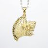 Picture of 14k Yellow Gold Conch Shell Pendant