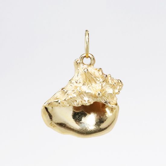 Picture of 14k Yellow Gold Conch Shell Charm