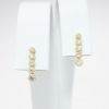 Picture of 14k Yellow Gold & Graduating Diamond Bar Earrings 