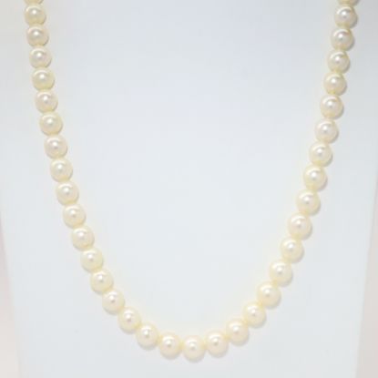 Picture of Hand Knotted White Pearl Necklace with 14k White Gold Clasp