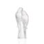 Picture of Lalique 2 Parakeets Sculpture - Clear Crystal