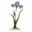 Picture of Jay Strongwater Vincent Iris Objet