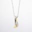 Picture of 18k White Gold Necklace with Two-Tone Gold & Diamond Pendant