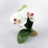 Picture of Rare Boehm Porcelain 'Phalaenopsis Orchid' Figurine F489