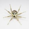 Picture of 14k White Gold & Cultured Tahitian Black Pearl Spider Brooch with Diamond Accents 