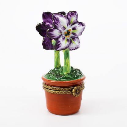 Picture of Retired Purple Amaryllis In Terra Cotta Pot Limoges Trinket Box