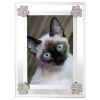 Picture of Olivia Riegel 4x6" 'Paw Print' Frame