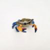 Picture of Kingspoint Designs Colorful Crab Trinket Box with Matching Necklace