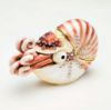 Picture of Kingspoint Designs Oceana the Nautilus Trinket Box with Matching Necklace