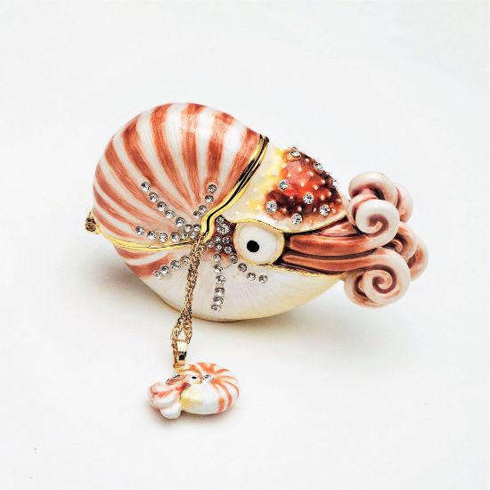 Picture of Kingspoint Designs Oceana the Nautilus Trinket Box with Matching Necklace