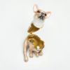 Picture of Kingspoint Designs Tanner the Frenchie Trinket Box with Matching Necklace