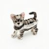 Picture of Kingspoint Designs Sam the American Shorthaired Kitten Mini Trinket Box