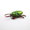 Picture of Kingspoint Designs Flower the Beetle Trinket Box with Matching Necklace