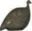 Picture of Lussan Ceramics Large Brown Guinea Hen with White Spots