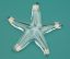 Picture of Baccarat Starfish