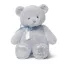 Picture of My First Teddy, 15 inch Blue by Gund