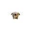 Picture of Versace Medusa Grande Gold Vase 3.5"
