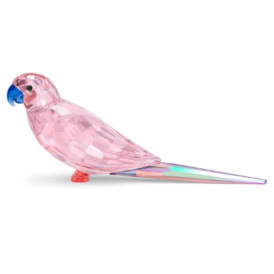 Picture of Swarovski - Jungle Beats Pink Parakeet