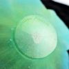 Picture of Daum Green & Blue 'Amaryllis' Vide Poche
