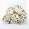 Picture of Vintage 1935-1945 Eisenberg Original Sterling Silver & Rhinestone Fur Clip #4